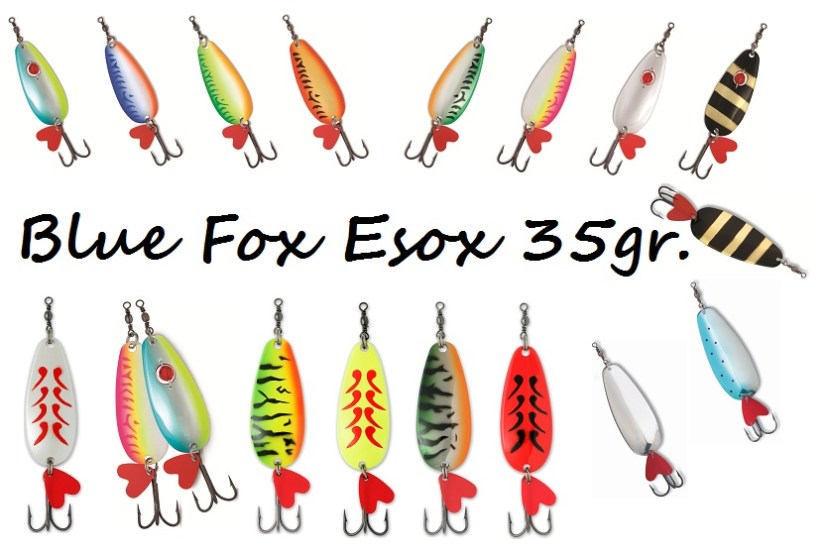 BlueFoxEsox