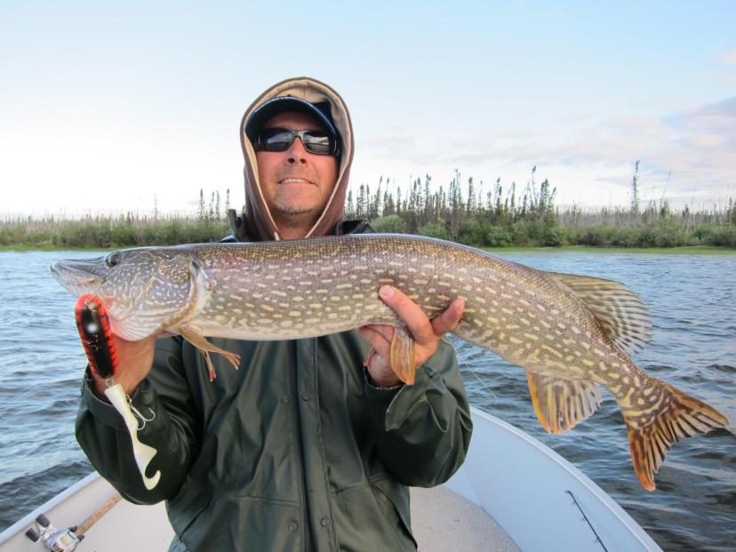 174953_10150319414748121_763043903_o