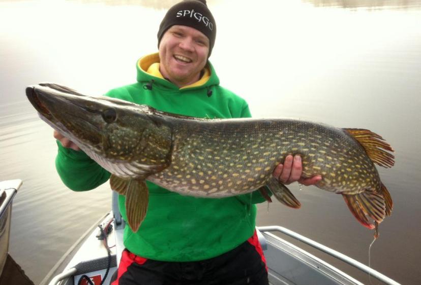 374758_10150377826212685_1038211745_n