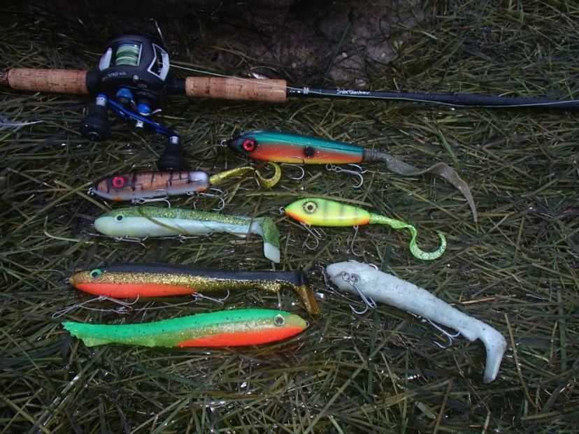 543355_407919032622525_871007077_n