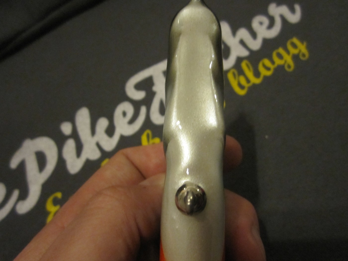 Rensade från kamera 120408 1154