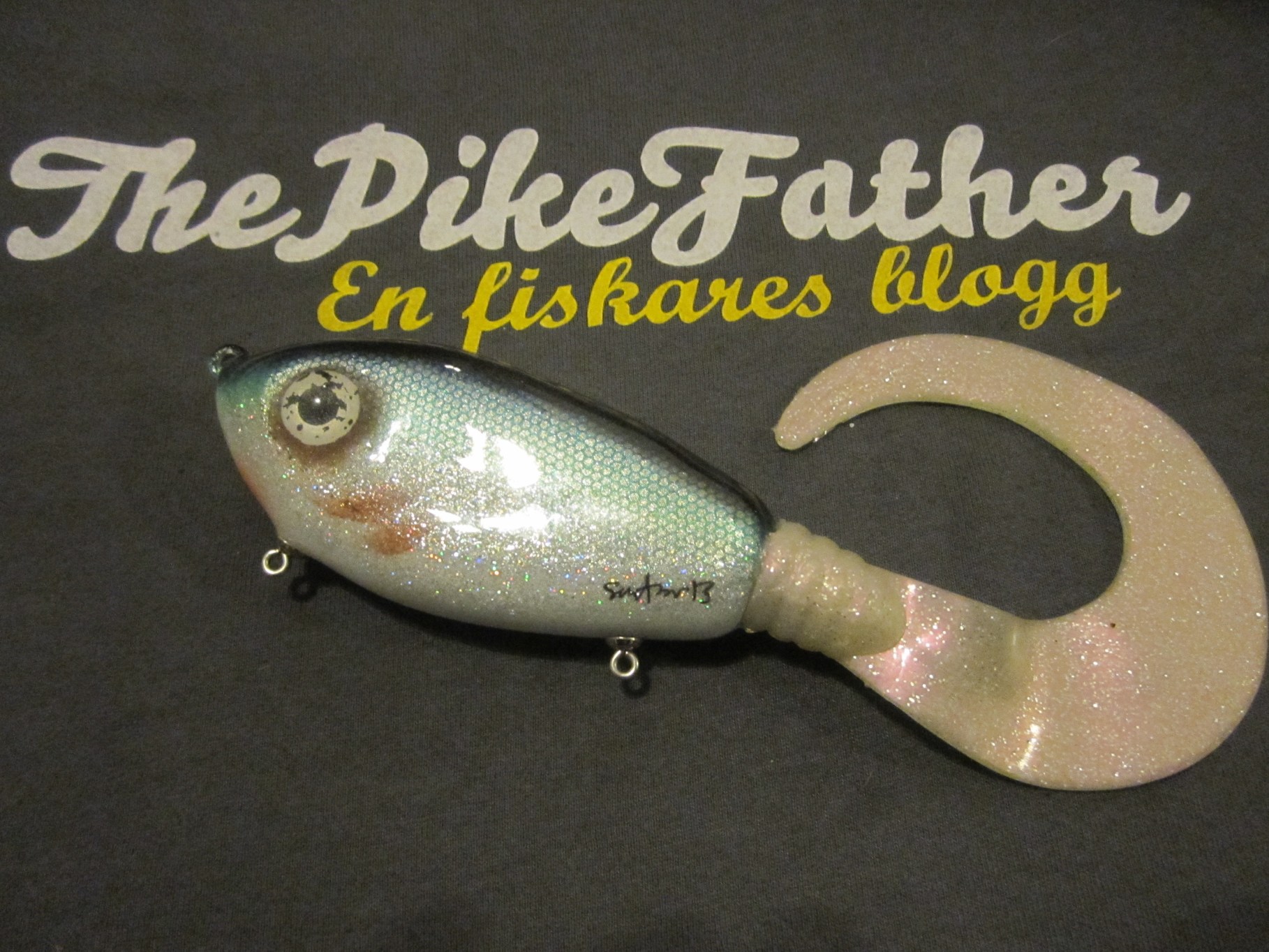 Rensade från kamera 120408 1157