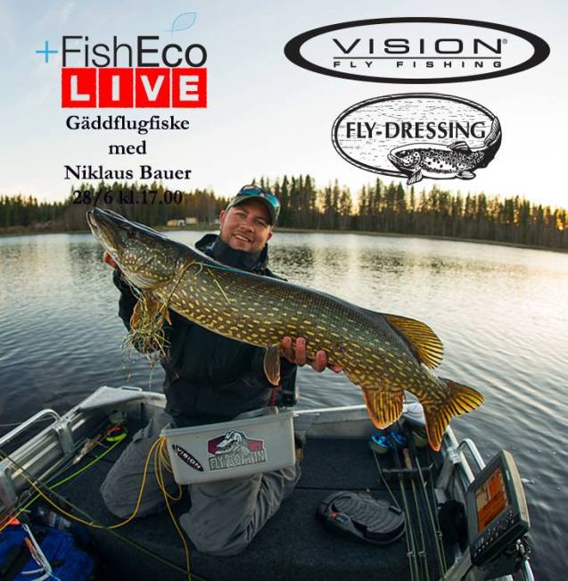 Live med Niclas Bauer