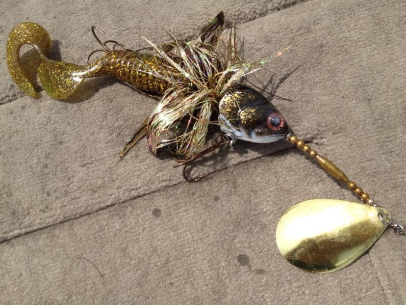 1003832_10201094384057880_265925005_n