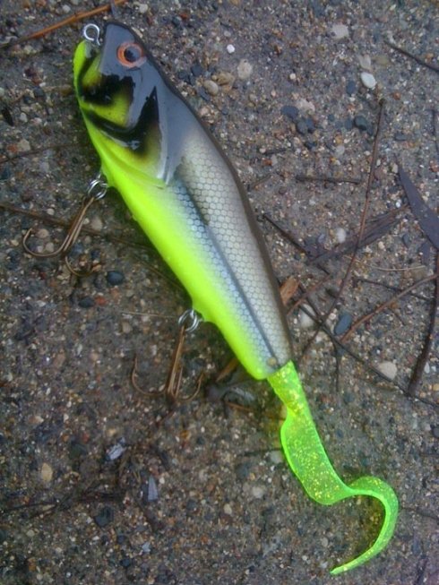 168620_1776923659016_2684036_n