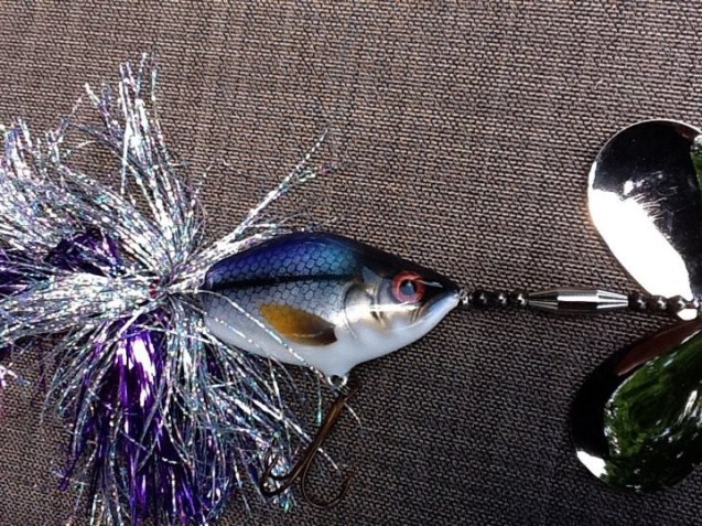 284290_2240326683802_4798976_n