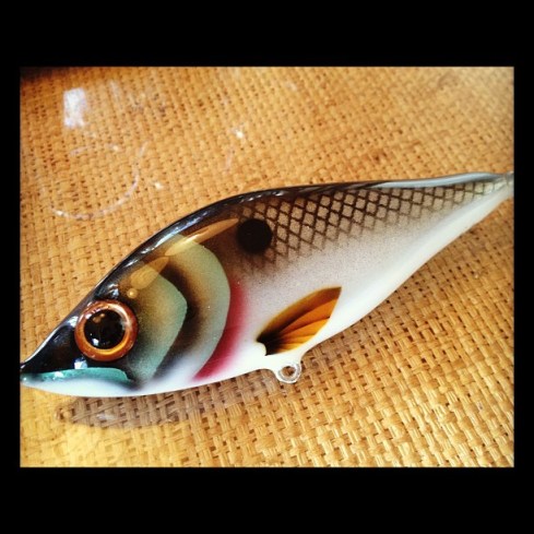 487041_4642308131837_1501598330_n