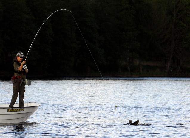 emma 14 r flugfiskar gadda