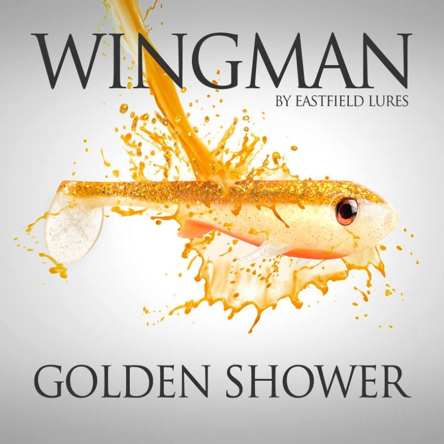 10257675_280251028816496_4804633906300241941_n