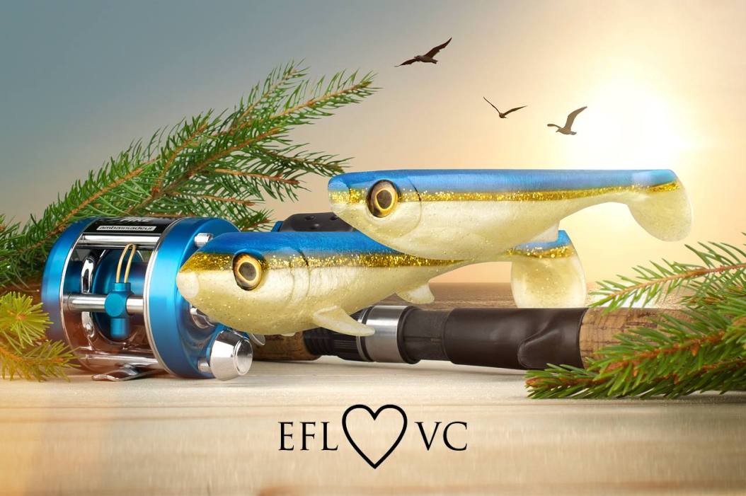 10560306_330234540484811_1702943568236166168_o