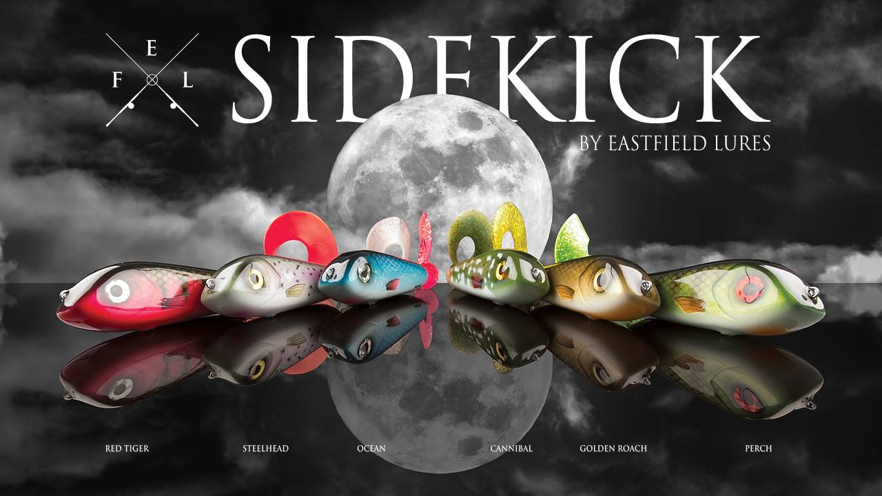 1078850_248225118685754_151191776_o