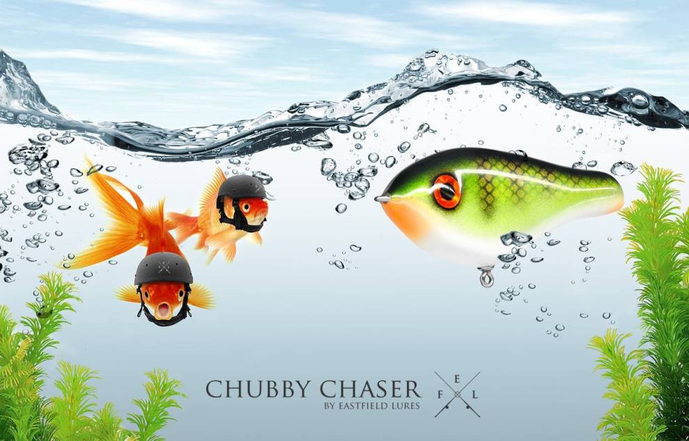 1496276_226621037512829_749748960_o