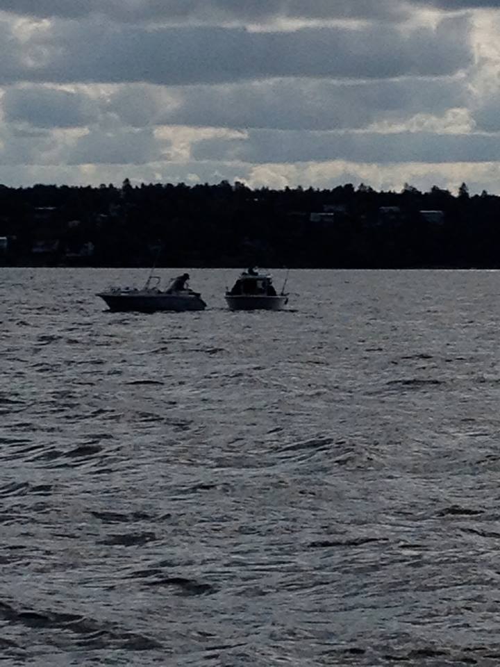 10643309_10152638271097829_517414726_n