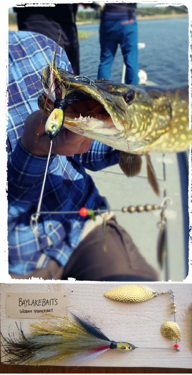 Anton ”BayLakeBaits” Nilsson – Eget, Gäddan Spinnerbait3
