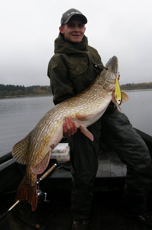 Björn Nettelbladt – BigBandit Orginal (Sjunkande)