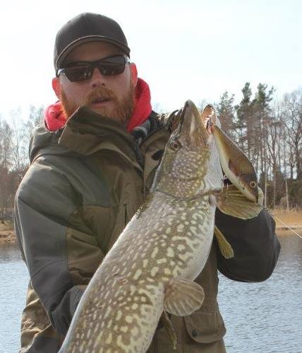 Dan Franzén - Jerksnedkeren Cozmo