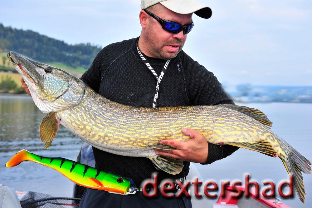 Erik Walmann-Dexter Shad