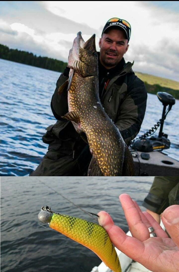 Henrik Törnberg – Fox Rage, 23 Natural Perch.2