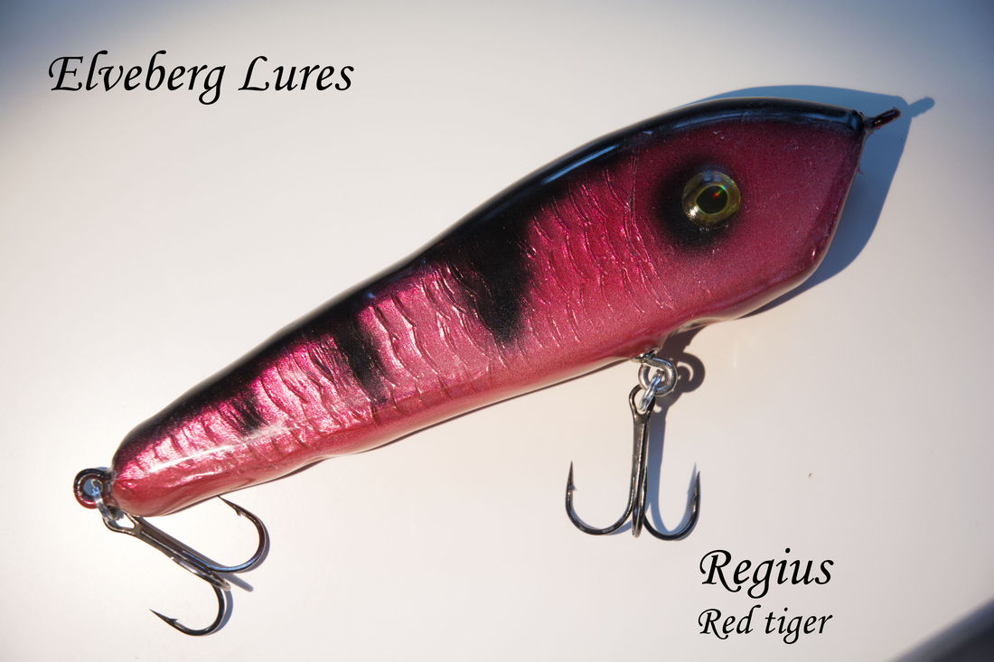 Ludvig Elveberg – Eget Regius Red Tiger