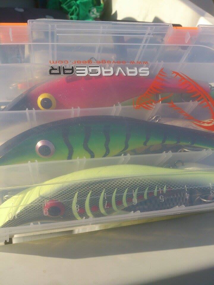 Magnus Grönberg - Zalt 25,5 flytande 176gr