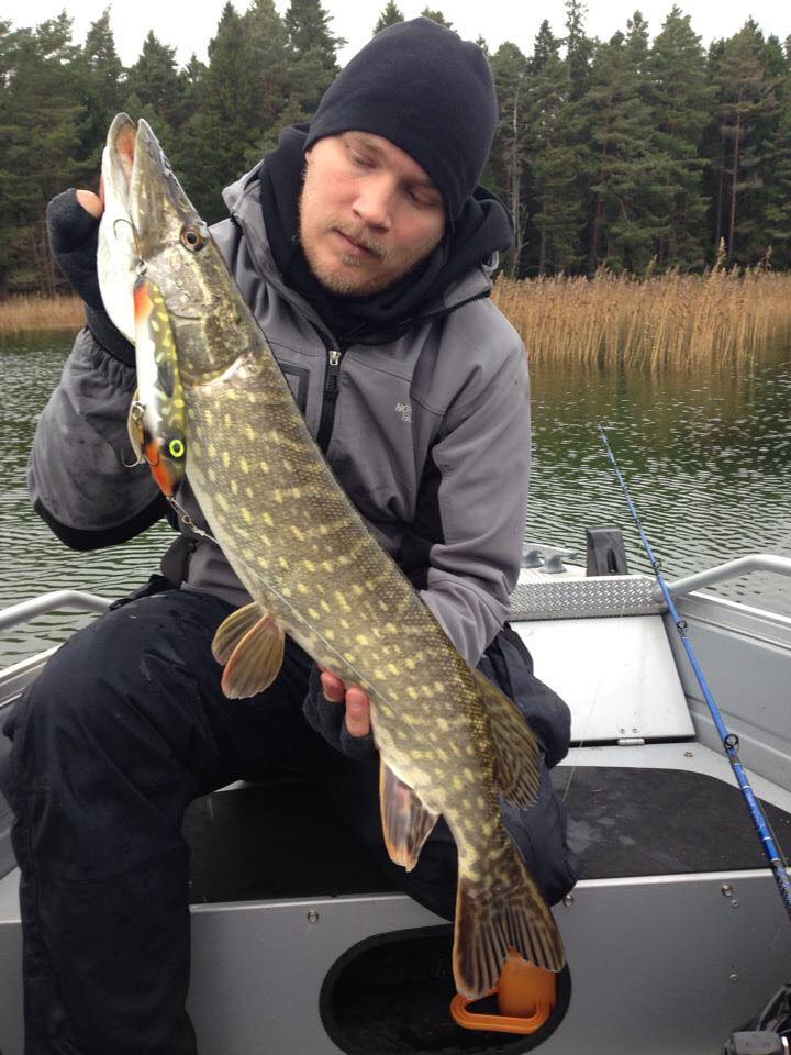 Roger Norrman – Eget, Silva.