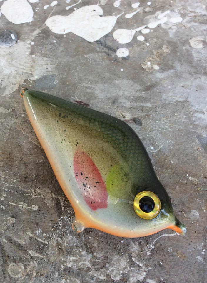 10330411_1465625720370385_2345486216358560402_n