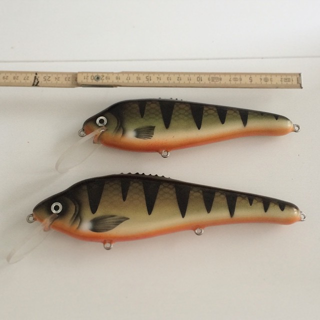 10403553_1028000680546773_7036318500317449596_n