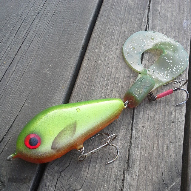 10689863_1461929437406680_7439206020787214467_n