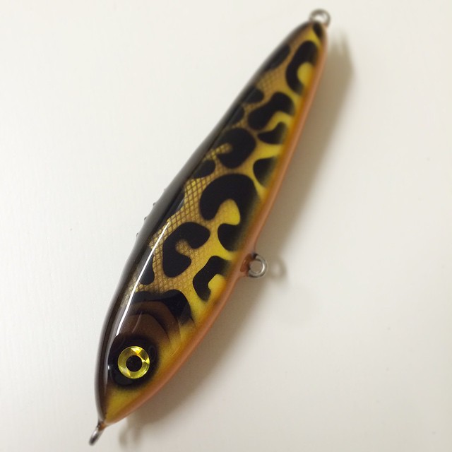 10801954_1040014059345435_6387385042825824_n