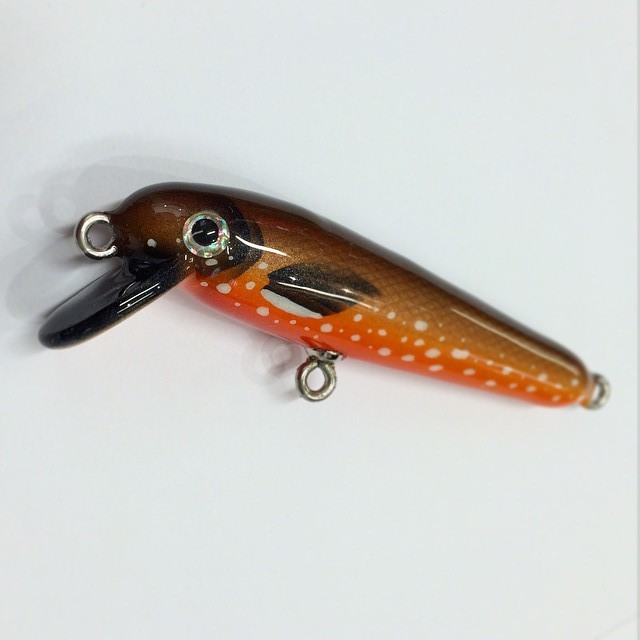 10906073_992369530776555_6547786350952283552_n