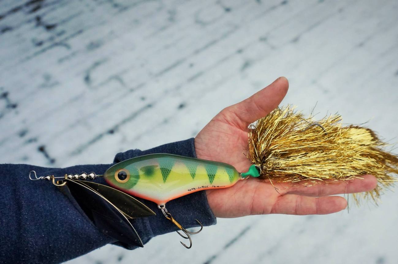 10945471_1527173214215635_8060399204678966396_o