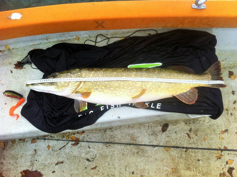 1965061_1437882363144721_3055186270089888915_n