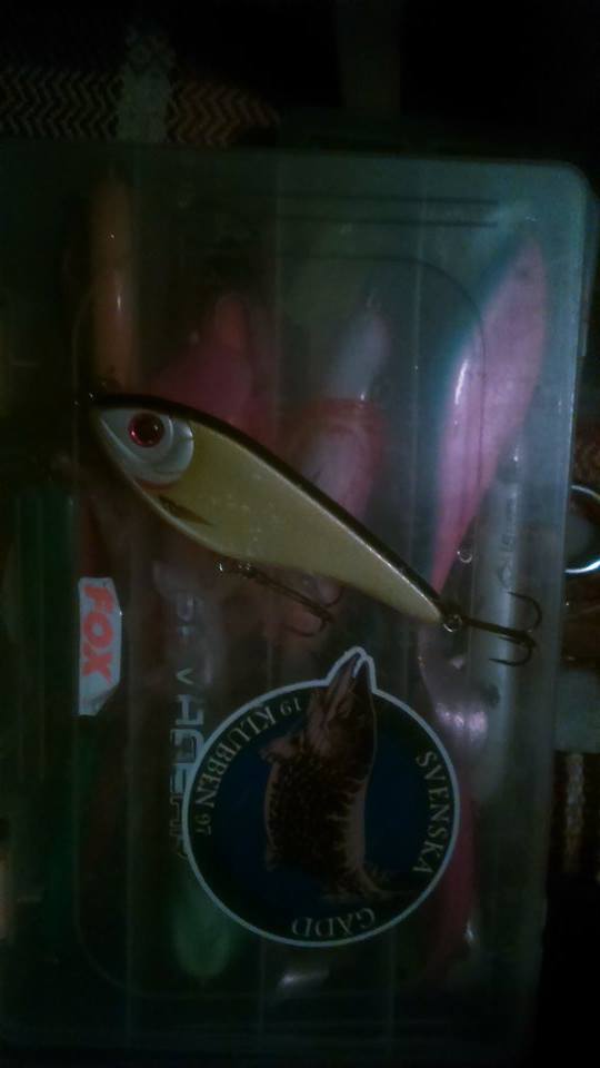 Adis Mesic – Buster Jerk