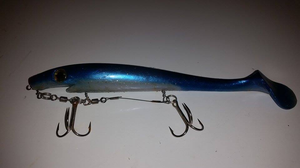 Cecilia Grönberg – CWC, PigShad.