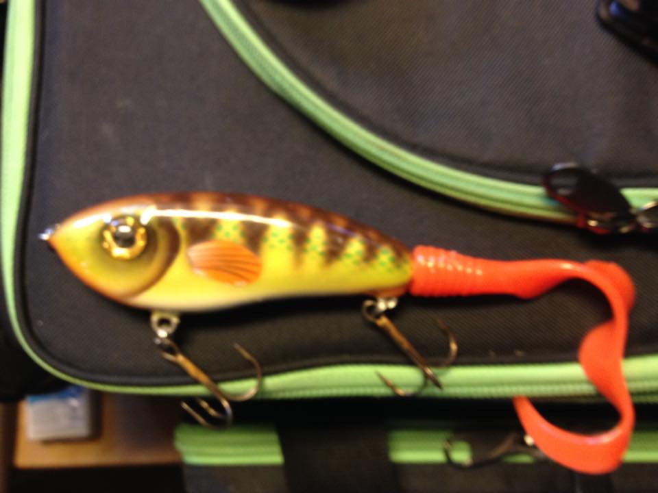 Eirik Flatebakken – Duckwing Dark, Dagspöket.