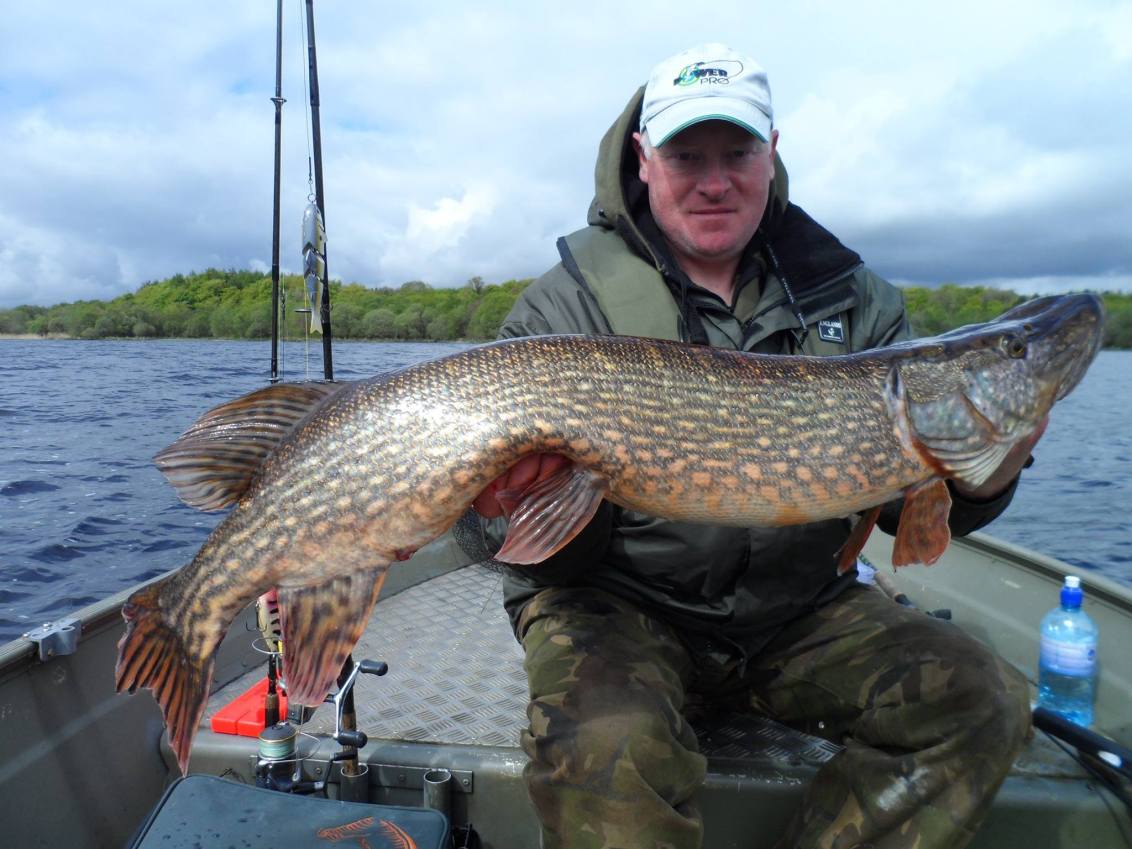 Ian Coalter – Spro Bbz