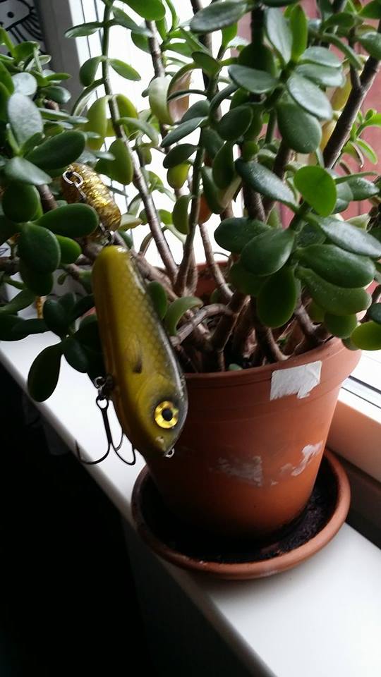 Jakob Silow - Eastfield Tail.