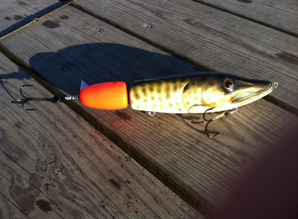 Jeremy Knutson - proptail topwater Eget bete