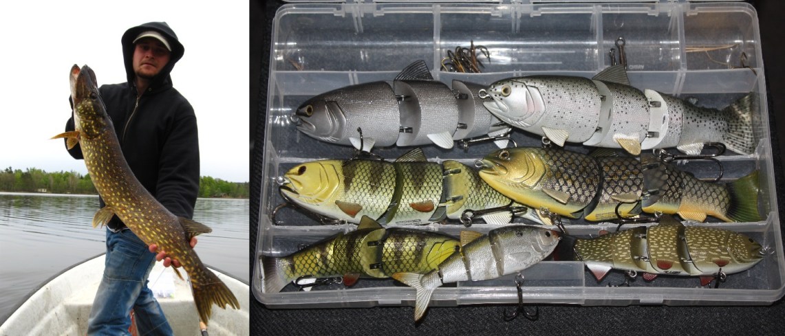 Lubomir Pytel (Fiskekonservator Lubbe) - Spro swimbait