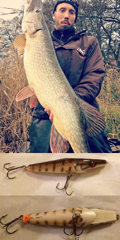 Mike Myself – ThePig Custom Wolfcreek Gösen