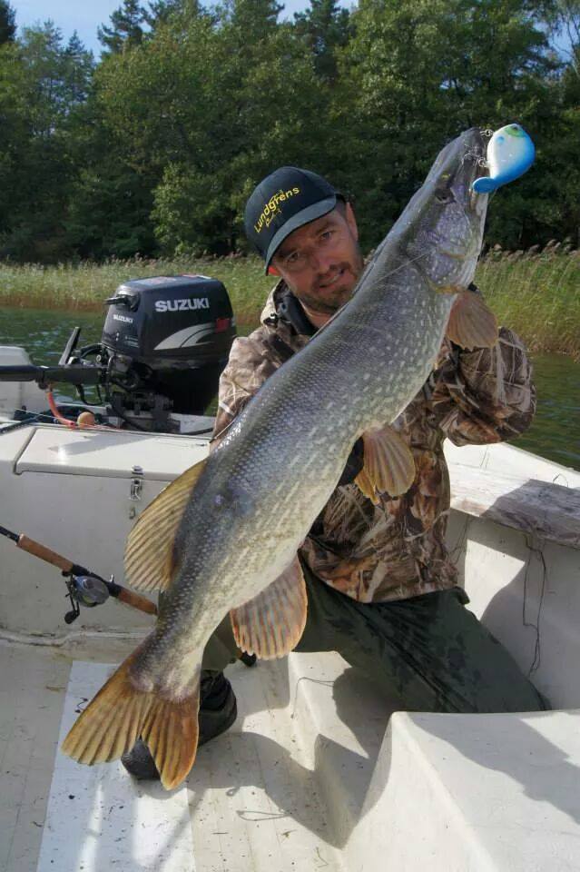 Myriam Zed – JW BraxLip