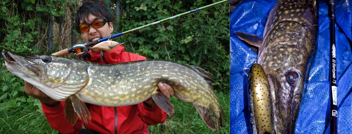 Shota Jenkins Konno – Salmo Slider 12F