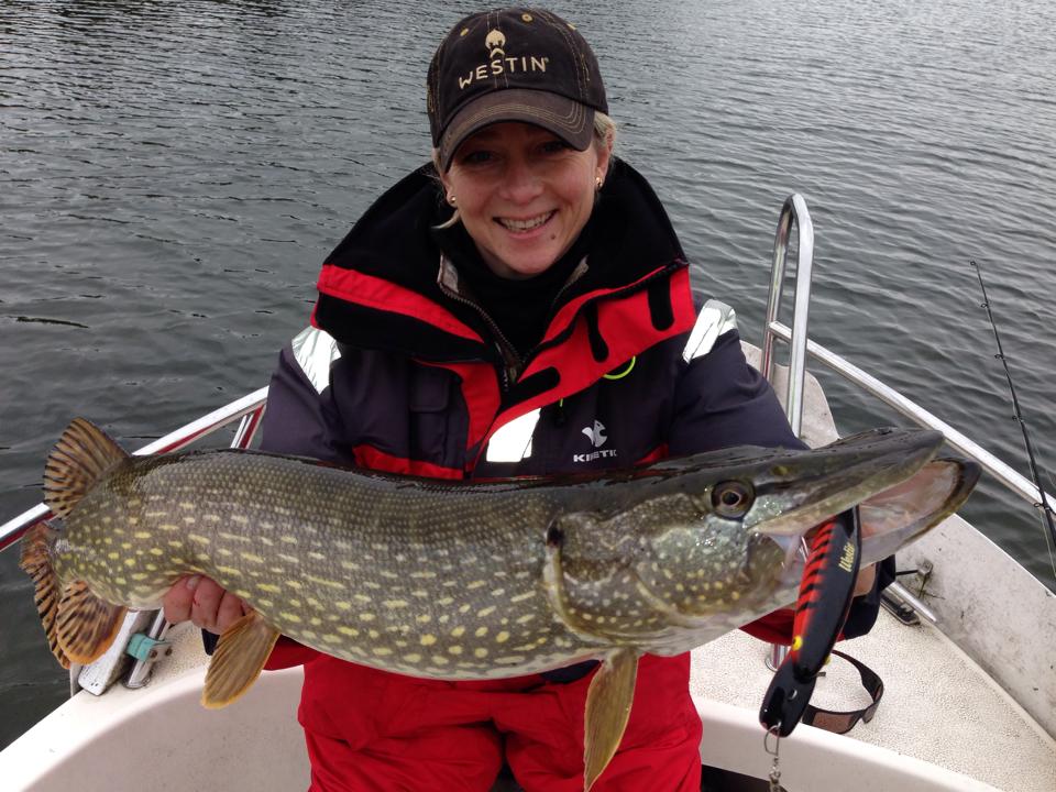 Sportfiskeguide Ronny Andén – Westin Platypus.