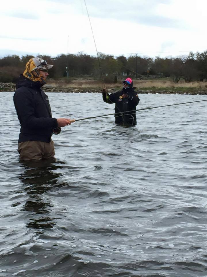 10995409_10152878311532081_8497428994167246501_n