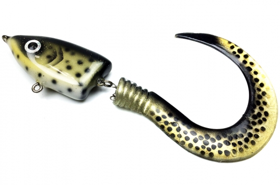 The Head Söder Tail2