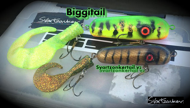 Svartzonker Biggitail2a