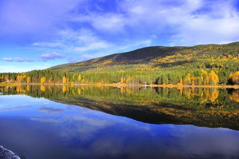 10365758_10152395907625756_4059232839560630561_n