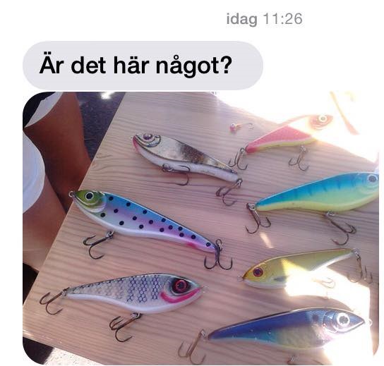 11880988_10153492725010993_164294886_n