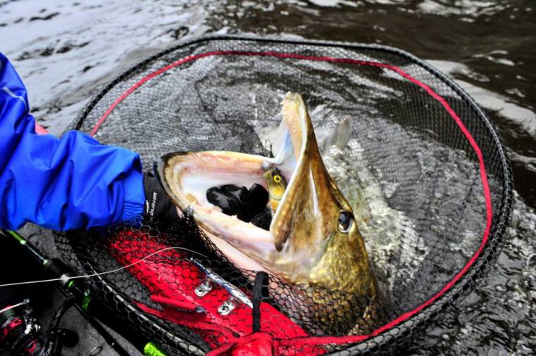 1483848_10151818003005756_633683503_o