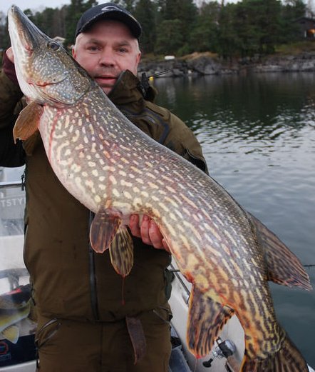 61846_430486230755_7840268_n